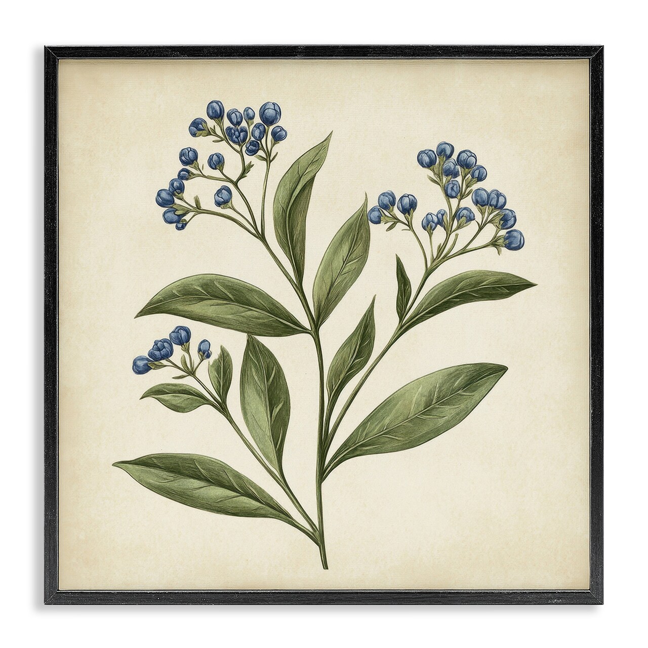 Stupell Industries Blue Buds Botanical Illustration Framed Giclee, design by Petal Prints Design